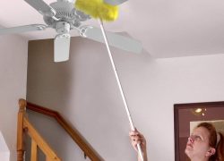 63477fe4ce11663afc0666e7-evelots-ceiling-fan-duster-both 63477fe4ce11663afc0666e7-evelots-ceiling-fan-duster-both