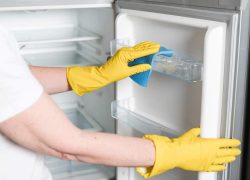 how-to-clean-your-refrigerator-in-right-way how-to-clean-your-refrigerator-in-right-way